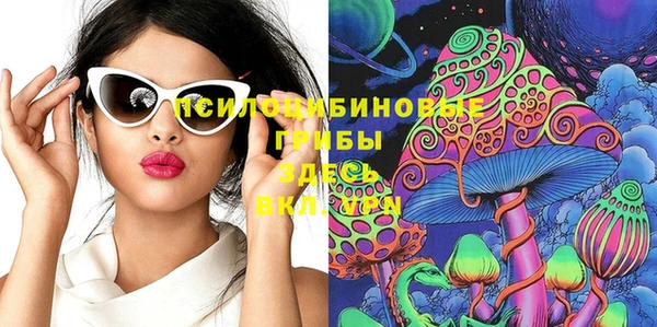 дмт Арсеньев