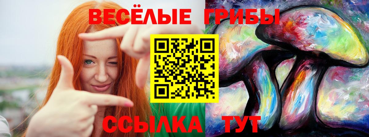 Псилоцибиновые грибы Psilocybe  Вход с VPN  Муравленко  Псилоцибиновые грибы прущие грибы 
