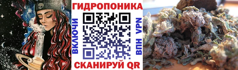 Марихуана MAZAR  Муравленко 
